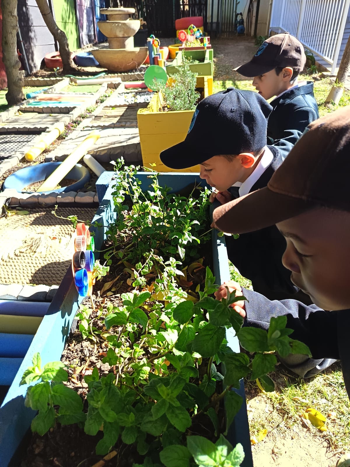 image showing assisted learners in south africa whilst gardening<br />
