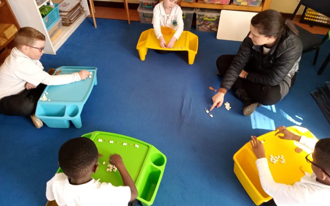 diversity in education in south africa